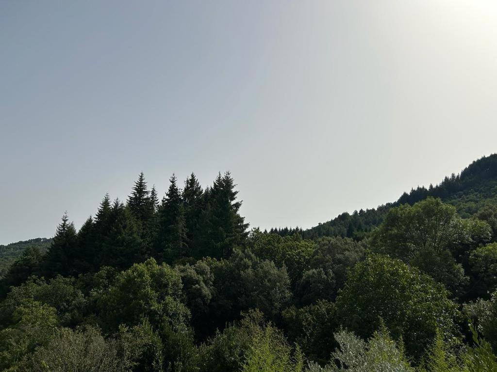 Mas Le Canton Saint-Jean-du-Gard Exteriér fotografie